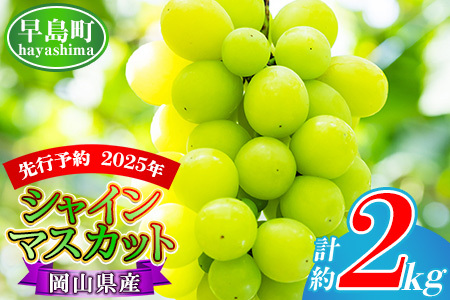 【2025年先行予約】岡山県産 シャインマスカット 約2kg（3房～5房） 家庭用 訳あり /9月下旬～10月上旬 受付順に発送予定