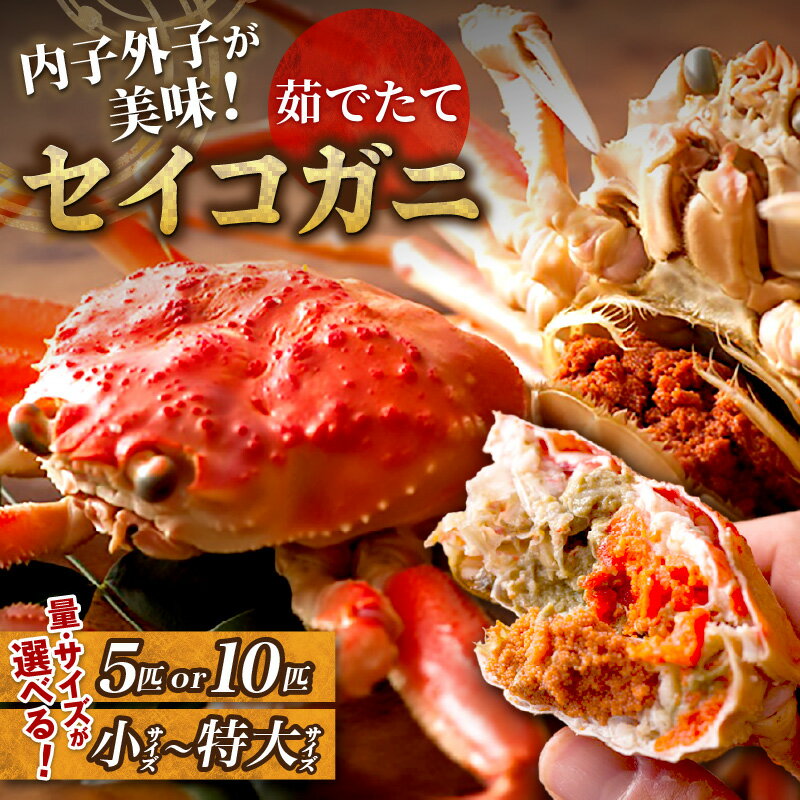 【ふるさと納税】高評価★4.8 高レビュー★【蟹の匠 魚政】内子外子が美味! 茹でたて セイコガニ (セコ蟹) (香箱ガニ) (こっぺ) 選べる 内容量 サイズ 5匹セット 10匹セット 小サイズ～特大サイズ カニ 蟹 セイコ蟹 セコガニ 香箱ガニ コッペガニ ボイル