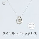 【ふるさと納税】PT900　ダイヤモンド　ネックレス　0.20ct　17368A　Pt　DIA　PN レディース ファッション ギフト プレゼント 誕生日 記念日 お祝い おしゃれ 大人 ジュエリーケース付 アクセサリー ジュエリー