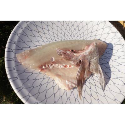 ふるさと納税 対馬市 対馬マダイ調理済み　計3パック |  | 01