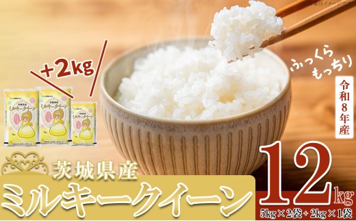 【 先行予約 】【 1月出荷分 】5kg換算6667円！ 令和8年産 茨城県産 ミルキークイーン 12kg ( 5kg × 2袋 + 2kg × 1袋 )【 米 お米 白米 茨城県産 ごはん こめ 国産 ミルキークイーン ふっくら もっちり 12kg 10kg 2kg 】