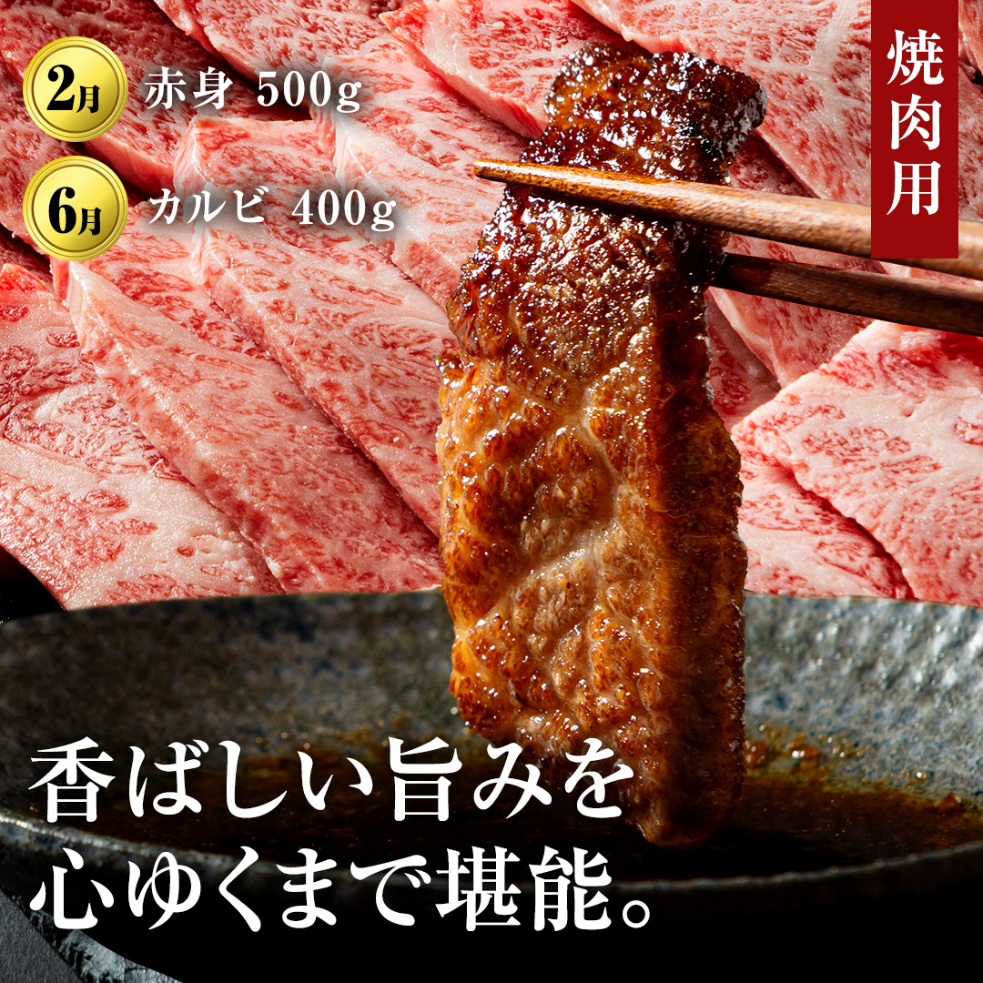 【定期便】【令和8年1月スタート】【全12回】『常陸牛』人気12か月堪能セット 牛肉 肉 お肉 国産 国産牛 ヒレ ステーキ ハンバーグ サーロイン 赤身 切り落とし 霜降り カルビ すき焼き しゃぶ