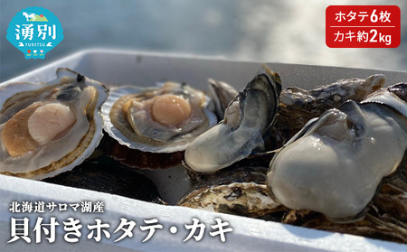 ホタテ・カキセット 北海道サロマ湖産 貝付き ホタテ・カキセット【ホタテ6枚 カキ約2kg】