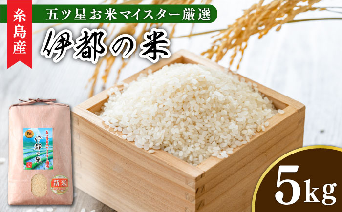 【年内発送】【令和7年産新米】伊都の米 5kg  糸島市 / 納富米穀店 [ARL001] 白米 お米 米 お米 ご飯 白米 九州 5キロ 5kg  令和6年産