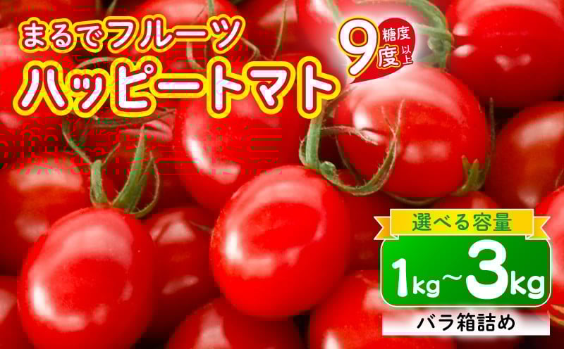 
            【先行予約】ハッピートマト 選べる 1～3㎏  とまと 1kg 2kg 3kg トマト 新鮮 野菜 完熟 高糖度  先行受付 甘い ミニトマト プチ 旬 国産 おかず 惣菜  リコピン ビタミン ダイエット 美容 美肌 産地直送  野菜 生野菜 安芸市 高知県
          