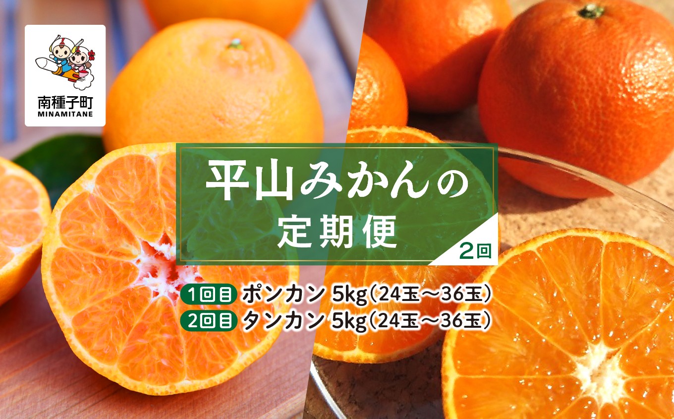 
                  ★【定期便】【先行予約】 種子島 平山みかん ポンカン タンカン 定期便 全2回 人気 種子島産 返礼品 南種子町 鹿児島 かごしま 【のっちーよ種子島】
                