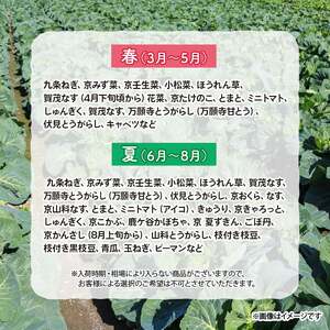 【野菜 定期便12か月】選りすぐり京野菜 旬の野菜定期便12ヶ月 野菜定期便