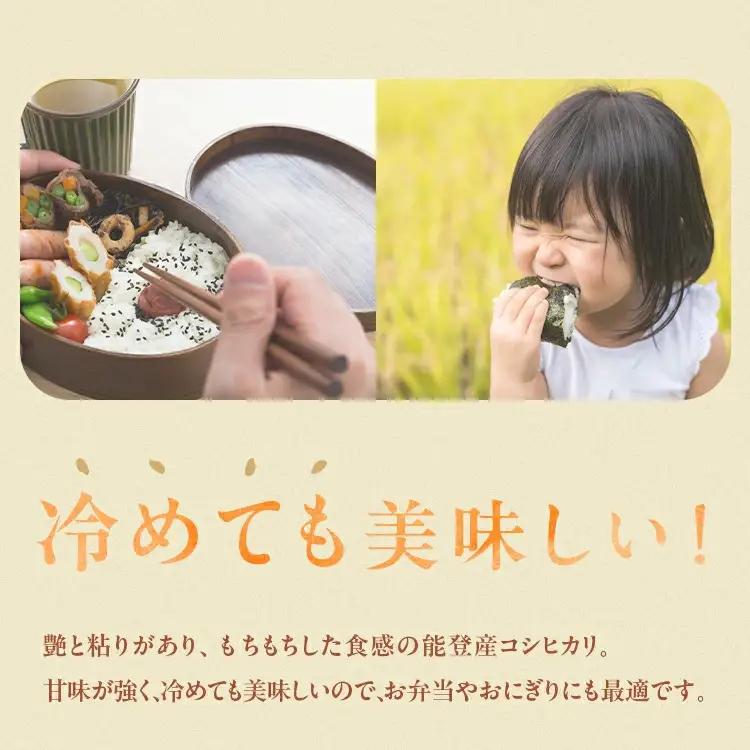 令和7年産 等伯米こしひかり10kg(5kg×2袋) | 米 ※2026年6月～発送