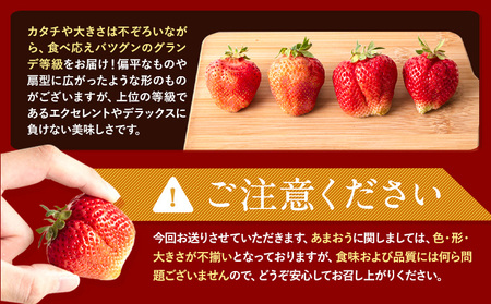 いちご あまおう 540g (約270g×2パック) 苺 送料無料 【着日指定不可】《2024年3月末-4月末頃より出荷予定》 イチゴ 果物 フルーツ 福岡県 鞍手郡 小竹町