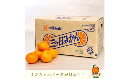 早生三ケ日みかん 良S 4kg (約44個) みかん ミカン フルーツ 果物 くだもの 機能性表示食品 浜松市