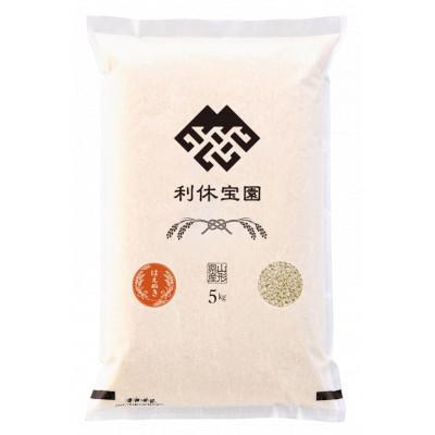 ふるさと納税 川西町 【発送月固定定期便】はえぬき(玄米)5kg 山形県産全12回