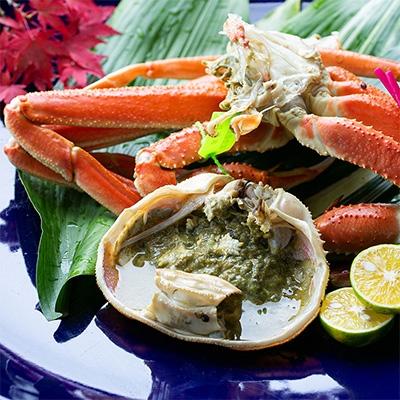 ふるさと納税 宮津市 茹で松葉蟹　特々大　1杯　(1,200g級) |  | 01