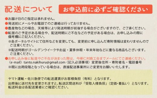 【訳あり・家庭用】【生産者応援】限定500セット　今帰仁