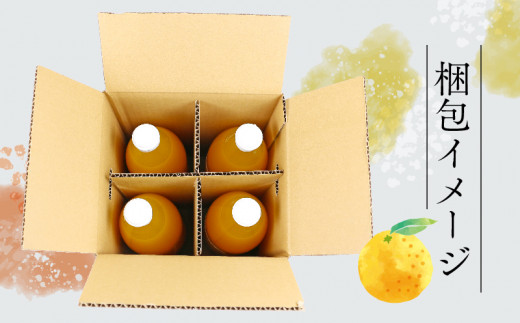 みかんジュース 本物の100％みかんジュース 1,000ml × 4本 木田柑橘農園 先行予約 南柑20号 温州みかん 温州蜜柑 みかん mikan ストレート オレンジ 果汁100％  ストレートジ