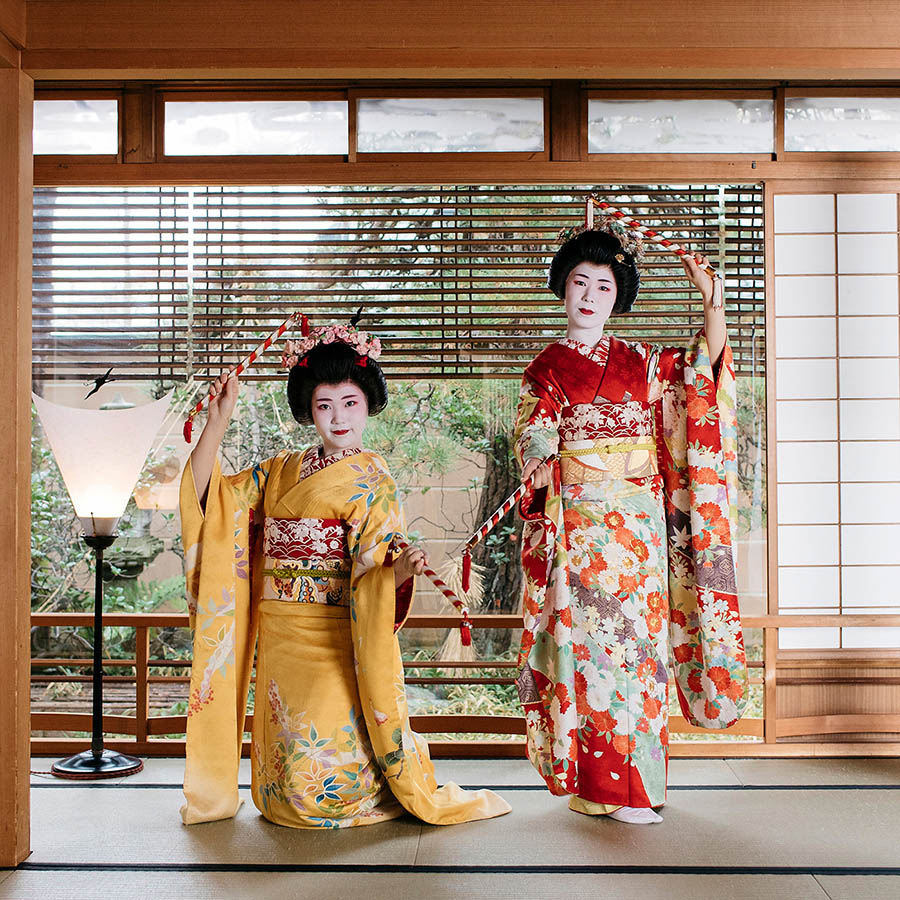 柳都の舞　特別栽培米新潟県産コシヒカリ5kg定期便　3回