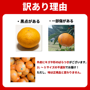 みかん 訳あり 5㎏ 熟成 柑橘 ミカン みかん