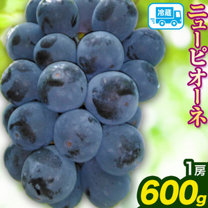 ニューピオーネ 600g (1房) 減農薬・ハウス栽培 ばんの農園《9月上旬-10月下旬頃出荷》岡山県 浅口市 送料無料 フルーツ 果物 ぶどう ブドウ ピオーネ お取り寄せフルーツ 冷蔵【配送不可地域あり】