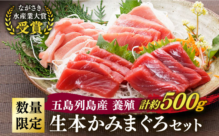 
【数量限定！ながさき水産業大賞受賞の新鮮なマグロを冷蔵でお届け！！】五島列島産 養殖 生本かみマグロ 赤身 中トロ 大トロ 計約500g マグロ まぐろ 鮪 刺身 ブロック 【カミティバリュー】 [RBP004]
