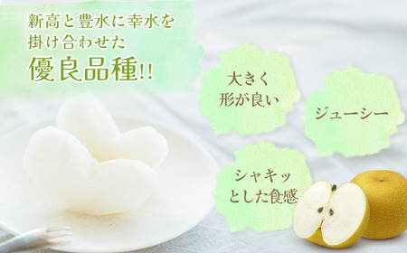 市川の梨「あきづき」3kg(5～9玉)　【12203-0218】