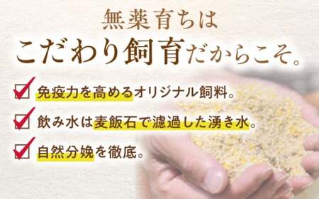 あんしん豚 特上しゃぶしゃぶセット 豚肉 ロース 国産 白川町 / 藤井ファーム[AWAF001]