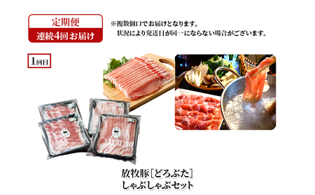 定期便 全4回 どろぶた 堪能食べ比べセット ブランド放牧豚 豚肉