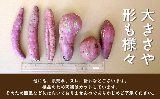 訳あり さつまいも 紅はるか 堀りたて5kg ( 1箱 ) 新物 鹿児島県産 【2025年9月中旬より順次発送】