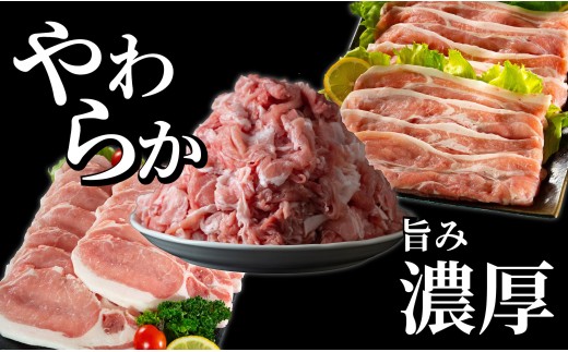 B621 《定期便》長崎県産豚 食べ比べ 梅コース【3回お届け】