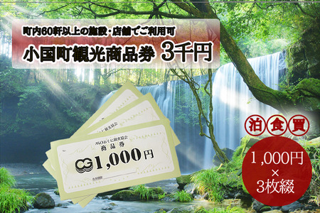 【ASOおぐに観光協会】阿蘇 小国町 観光商品券 1000円券 3枚 3千円 三千円 熊本 阿蘇 小国町 杖立温泉 わいた温泉郷 湯けむり 蒸し湯 ジャージー牛乳 小国杉 旅行 観光 宿泊 飲食 お買い物 お土産 現地払い利用 宿泊 地域振興 旅行支援 指定住所へ出荷