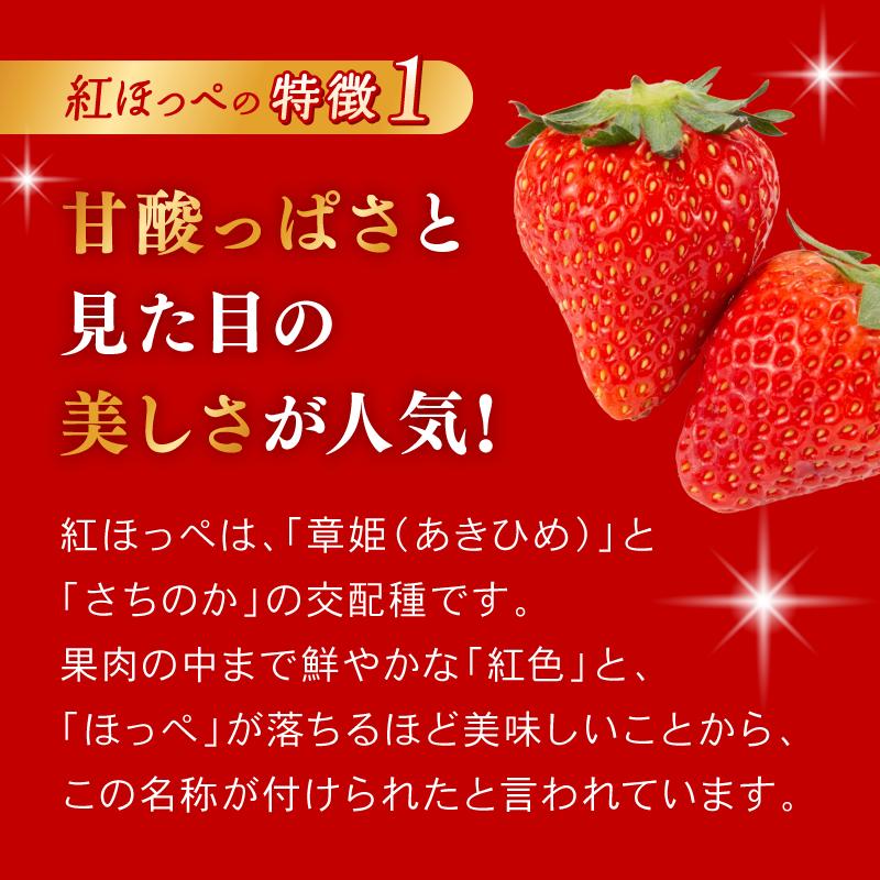 大河原町のいちご 完熟いちご 2パック 果物 フルーツ 苺 紅ほっぺ かおり みずみずしい ジューシー 期間限定 季節限定 いちご 小分け