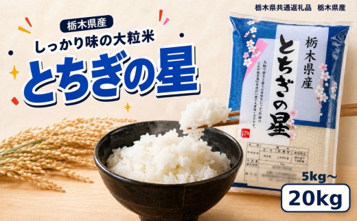 
                  【令和8年産 新米】栃木県産 お米 白米 とちぎの星 5kg～20kg | 栃木県 矢板市　栃木県共通返礼品 栃木県産
                