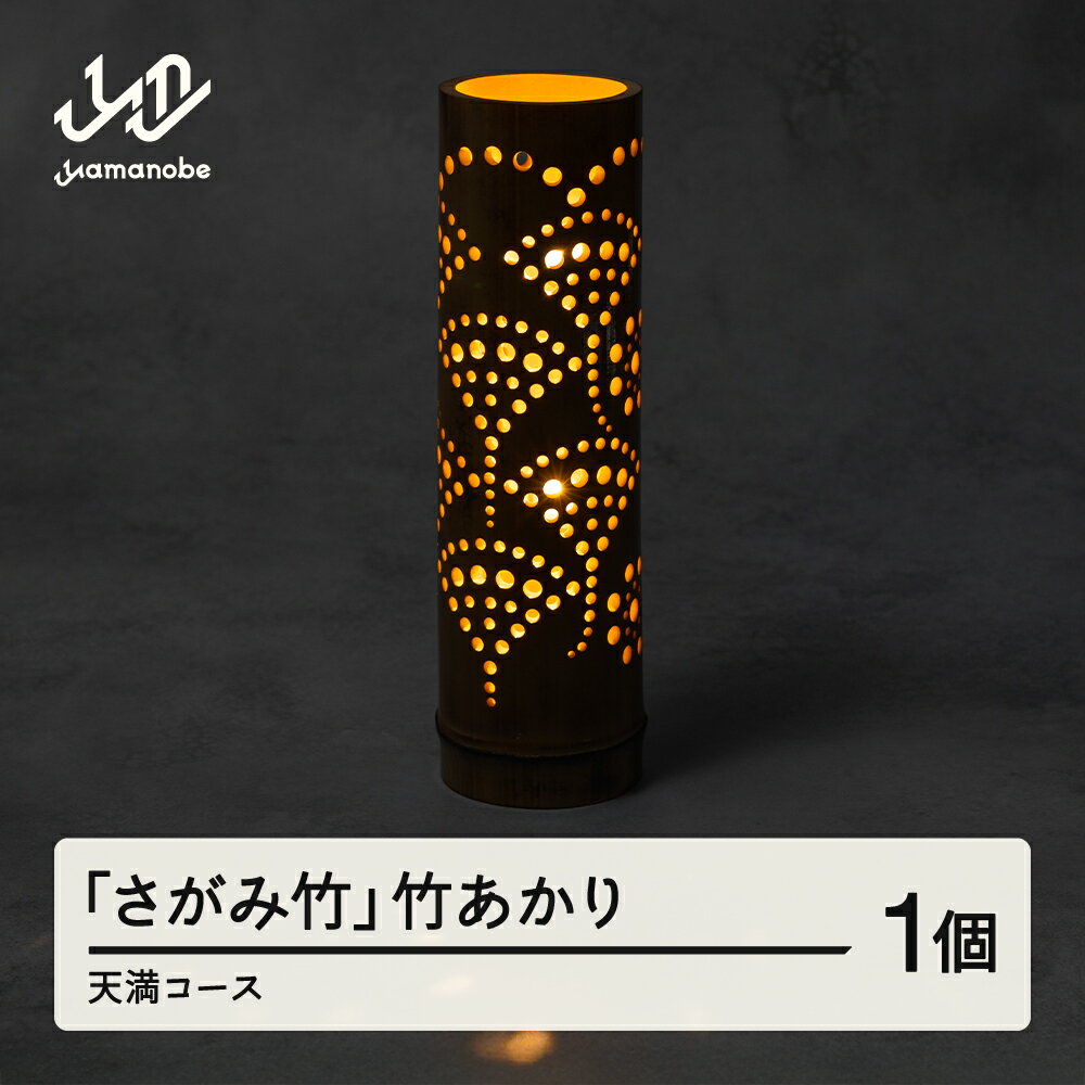 【ふるさと納税】 「さがみ竹」竹あかり (天満コース) インテリア ライト 竹 ty-kgtat 山形 山辺町 送料無料