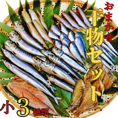 ふるさと納税 山田町 三陸山田 【無添加】おまかせ 干物 セット(小)