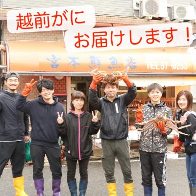 ふるさと納税 越前町 【2025年11月中旬頃より順次発送】《浜茹で》越前がに　小サイズ×1杯 |  | 03