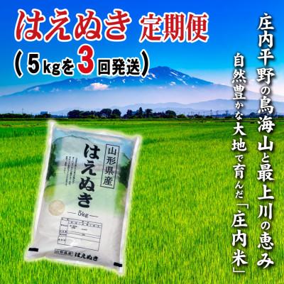 ふるさと納税 酒田市 【毎月定期便】山形県の米どころ庄内平野で育った庄内米　はえぬき5kg全3回