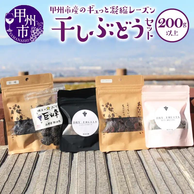甲州市産干しぶどうセット200g以上 （KBO）B-950