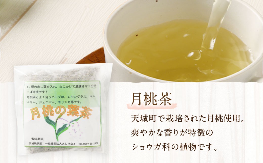 天城町産 月桃茶 計18パック （ 3パック × 6袋 ） 