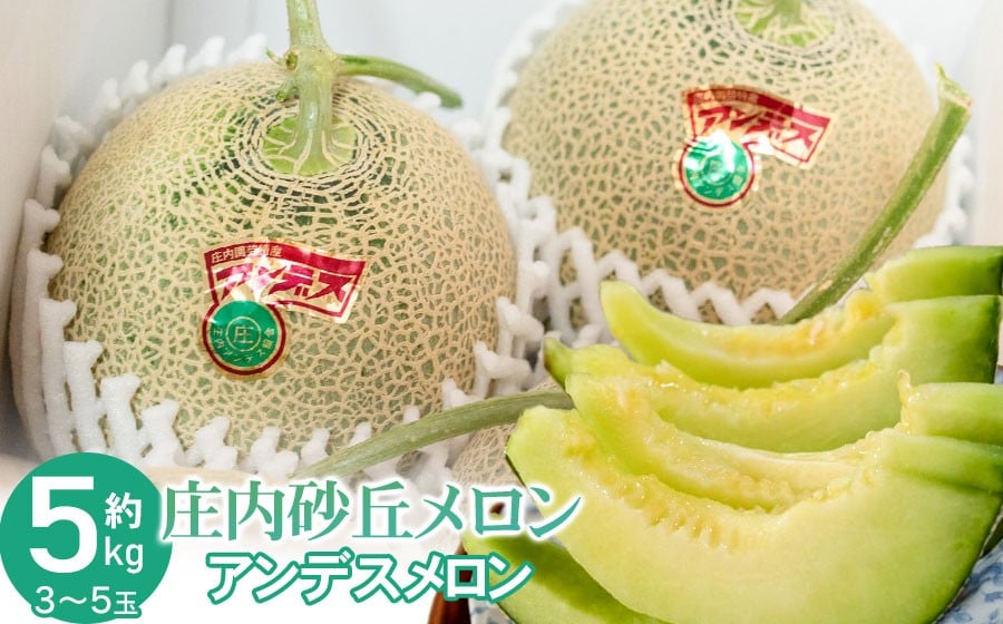 
                  【令和8年産先行予約】菅原農園の庄内砂丘メロン 約5kg （3～5玉） アンデス メロン 【7月下旬～8月上旬】　K-835　菅原農園　鶴岡地区物産協同組合
                