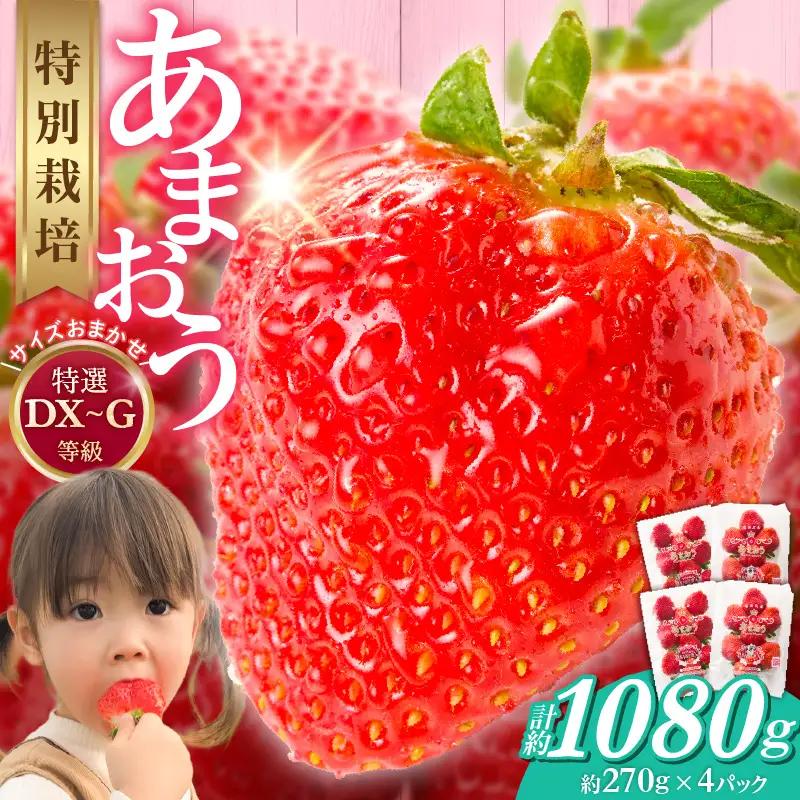 福岡県産【特別栽培】サイズおまかせ（DX～G等級）完熟あまおう　270g×4パック_福岡県産 特別栽培 完熟 あまおう 270g × 4パック サイズおまかせ DX～G等級 国産 苺 濃厚 ジューシー 甘い 果実 果肉 土耕栽培 フルーツ 果物 お取り寄せ お取り寄せフルーツ デザート おやつ ストロベリー 食品 九州 福岡県 久留米市 送料無料 〔Fi056〕