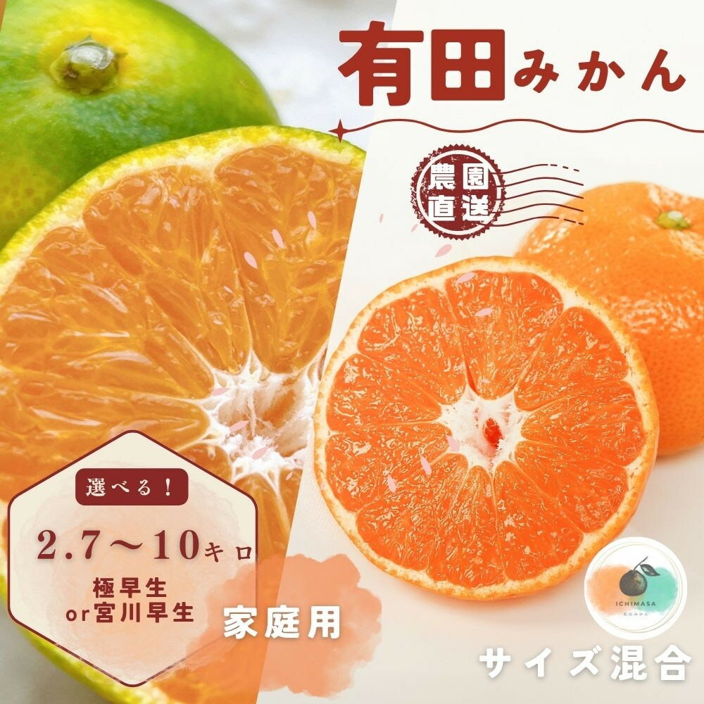 【ふるさと納税】【選べる種別・容量】【先行予約】有田みかん 極早生 or 宮川早生 2.7kg（箱込み3kg）～10kg 家庭用 S～2Lサイズ 混合 柑橘 フルーツ みかん 産地直送 お取り寄せ 送料無料 | 有田みかん 訳あり みかん 人気 おすすめ お試し 蜜柑 低農薬栽培