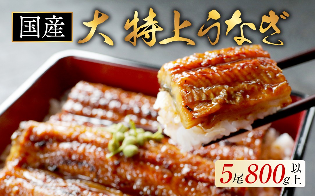 
                  国産 大 特上うなぎ 160g 5尾  （ 国産 うなぎ 鰻 ウナギ 蒲焼き 蒲焼 かばやき 魚 魚介 魚貝 海鮮 うな重 ひつまぶし 蒲焼 訳あり ギフト 人気 おすすめ 北海道 別海町 160g 5尾  国産 うなぎ 鰻 ウナギ 蒲焼き 蒲焼 かばやき 魚 魚介 魚貝 海鮮 うな重 ひつまぶし 蒲焼 訳あり ギフト 人気 おすすめ）
                