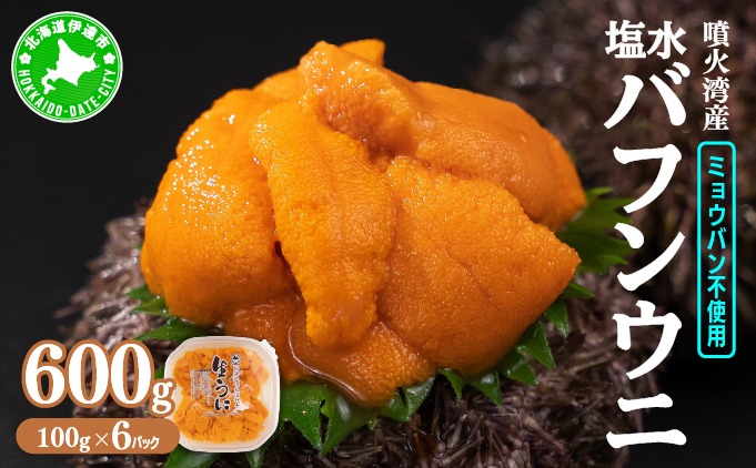 北海道 噴火湾産 塩水 バフンウニ 100g 6パック 計600g 《アフター保証付き》うに ウニ 雲丹 海鮮 海の幸 魚介類 ウニ丼 お寿司 濃厚 無添加 産地直送 お取り寄せ 山村水産 送料無料  【55250871】