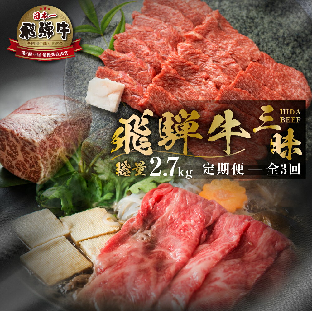 【ふるさと納税】《まるごと定期便》3回 総量2.7kg お届け 飛騨牛三昧 肉 700g 以上 肉づくし 白川郷 もも肉 ブロック肉 しゃぶしゃぶ すき焼き 85000円 国産 黒毛和牛 牛肉 焼肉 カルビ バラ A4 A5 肩 ロース 焼肉 赤身 霜降り 食べ比べ 岐阜県 白川村 お楽しみ [S525]