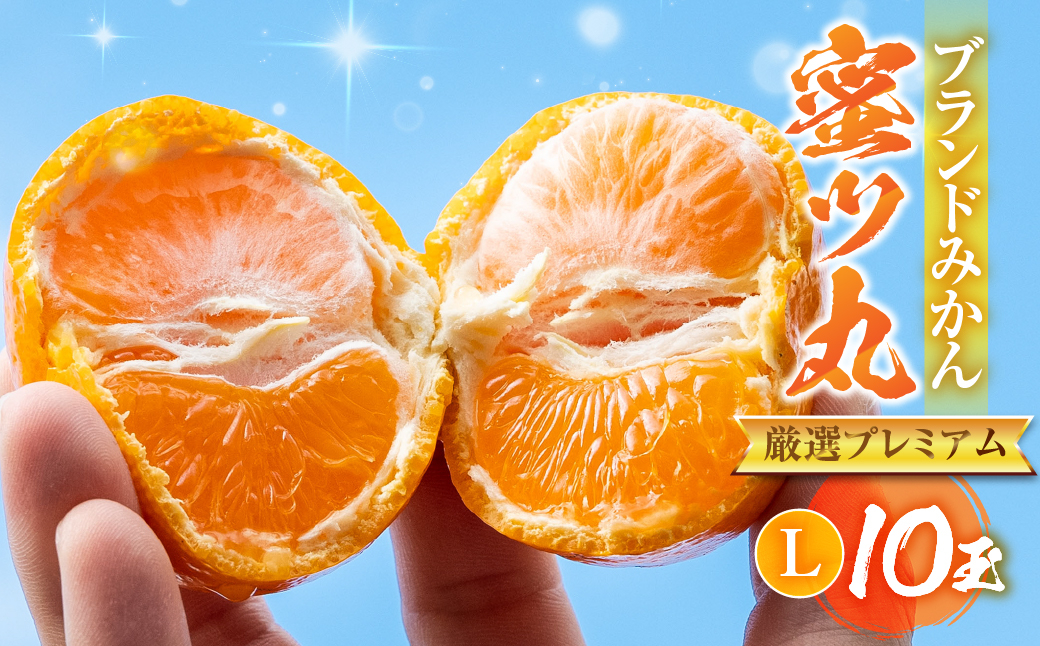 
            こだわり蜜柑 蜜ﾂ丸 厳選ﾌﾟﾚﾐｱﾑ 黒の化粧箱 Lｻｲｽﾞ 10玉　マルカワ園芸
          