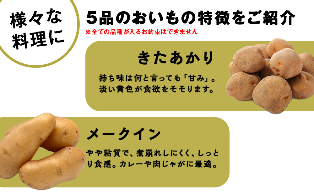 北海道産 じゃがいも 訳あり 5kg