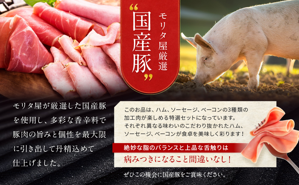 【京都モリタ屋】モリタ屋ハム・ソーセージ・ベーコンセット｜京都 加工品 人気グルメ［ 老舗 肉 ハム ベーコン 人気 おすすめ 簡単 お手軽 時短 おいしい 高級 豚肉 国産豚 お取り寄せ 通販 送料