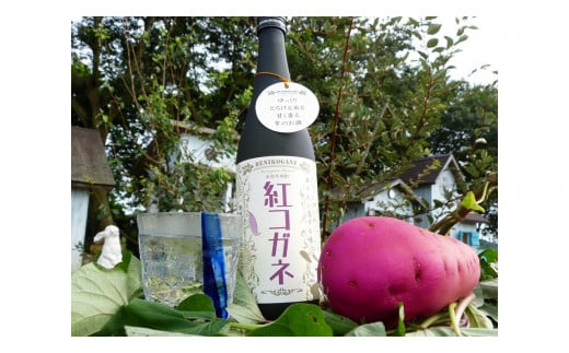 
CT-17 【本格芋焼酎】紅コガネ（720ml）1本
