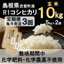 【ふるさと納税】【毎月定期便】栽培期間中化学肥料・化学農薬不使用 R1米コシヒカリ10kg(玄米)全3回【4056799】