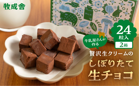 生チョコレート 2箱(1箱12粒入り) 生クリーム使用 チョコレート スイーツ 冷凍 洋菓子 ギフト 贈答 贈り物 プレゼント 牧成舎 ホワイトデー[AI080]