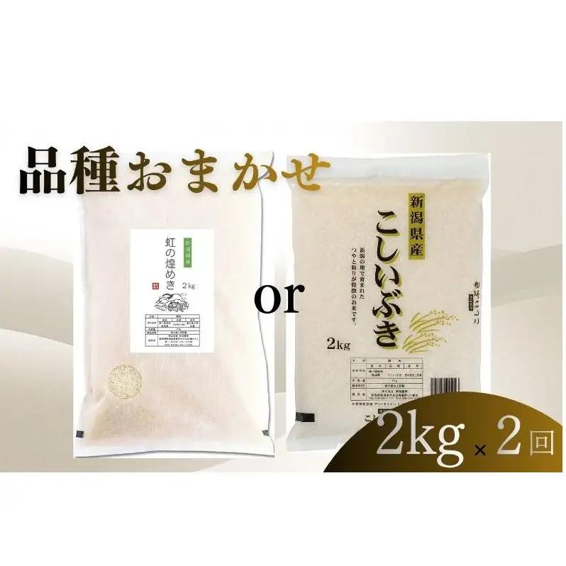 【7月上旬より配送】 新潟県産 品種おまかせ 2kg  2か月定期便 新潟県 新潟市産 令和7年産 お米 精米 米 ご飯 送料無料