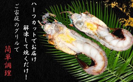 【 伊勢海老 】 活〆冷凍伊勢海老 3㎏